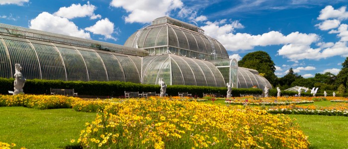 Victorian Palm Glass House in Kew gardens with yellow flowers in front